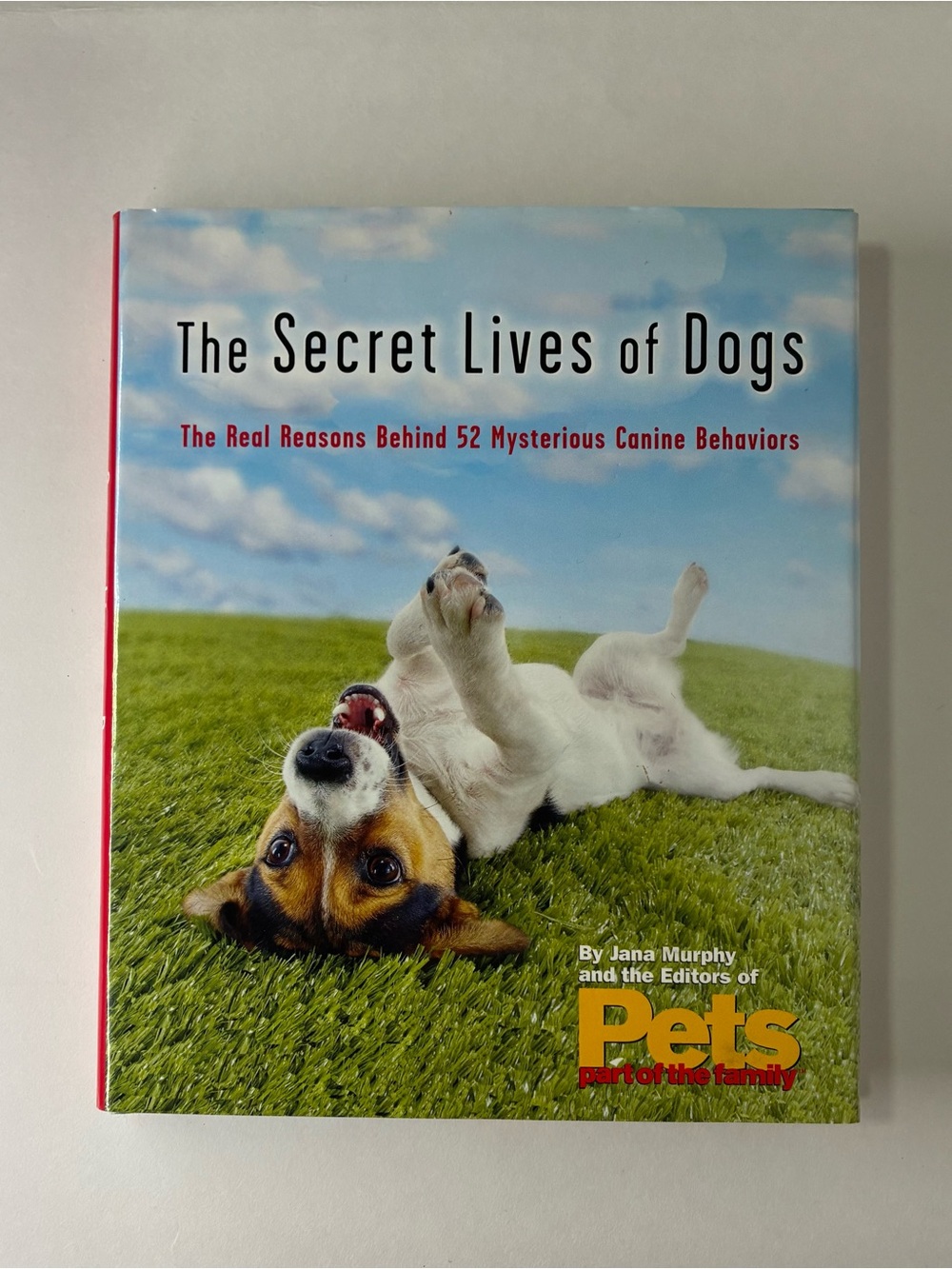 The Secret Lives of Dogs - the real reasons behind 52 mysterious canine behavior